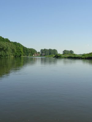 mulde-844731